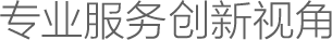 专业服务创新视角